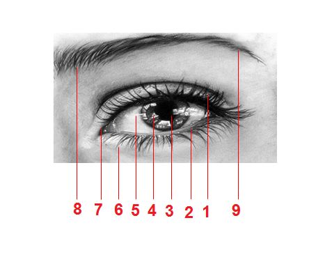 oog ontwerp/u maar een paar ogen heeft